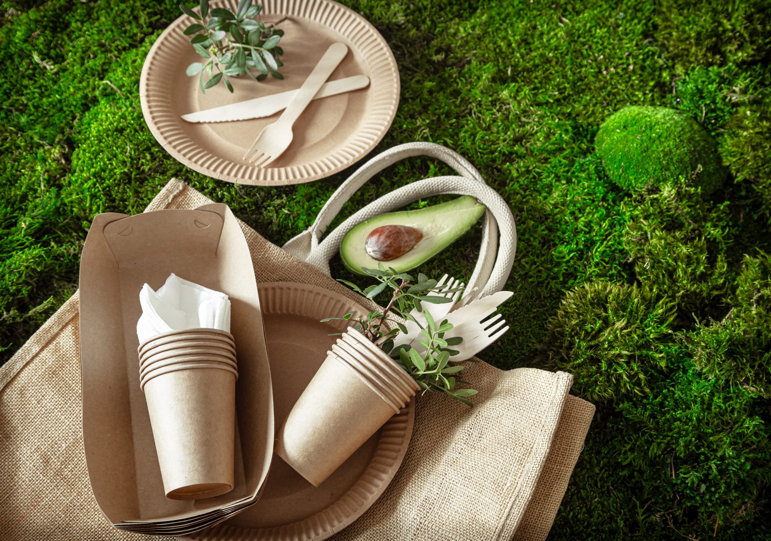 Environmentally friendly, disposable, recyclable tableware. Paper food boxes, plates and Cutlery of cornstarch on a green grass background .
