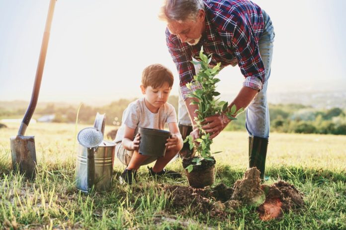 Why You Should Encourage Kids To Start Growing Trees