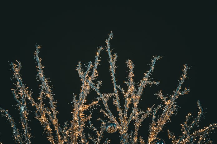 Christmas lights on tree branches