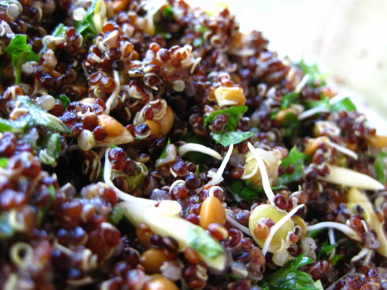 Meatless mondays recipes Lime Summer Quinoa Salad
