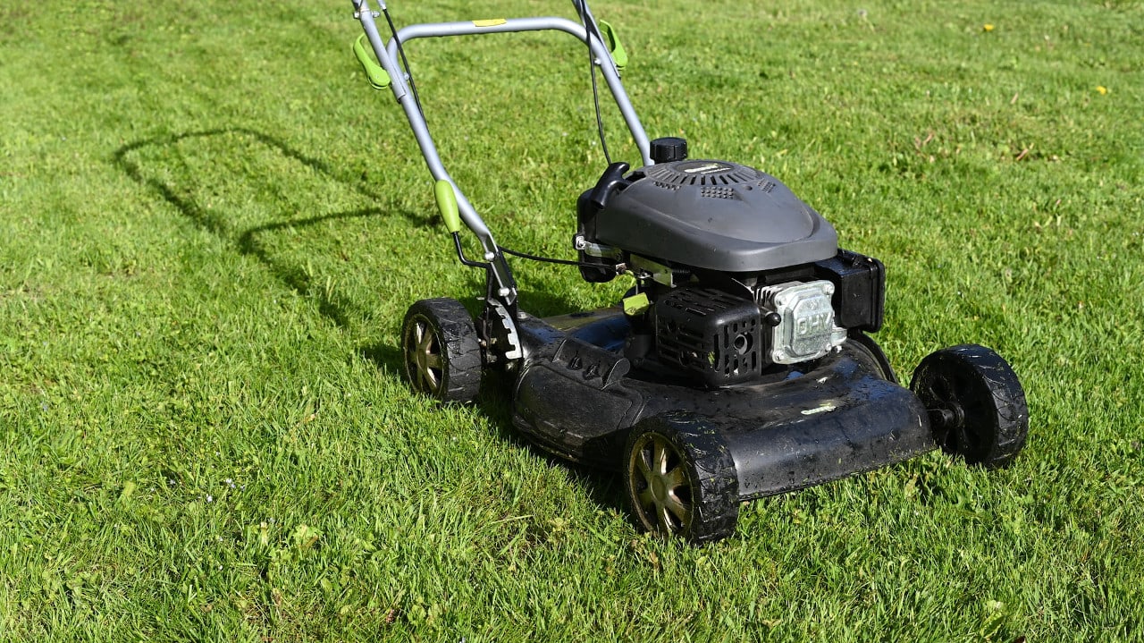 mow that lawn