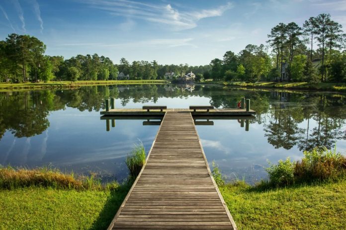 A large pond surrounded plants and trees with a boardwalk leading onto it. A white and blue house is on the opposite end.