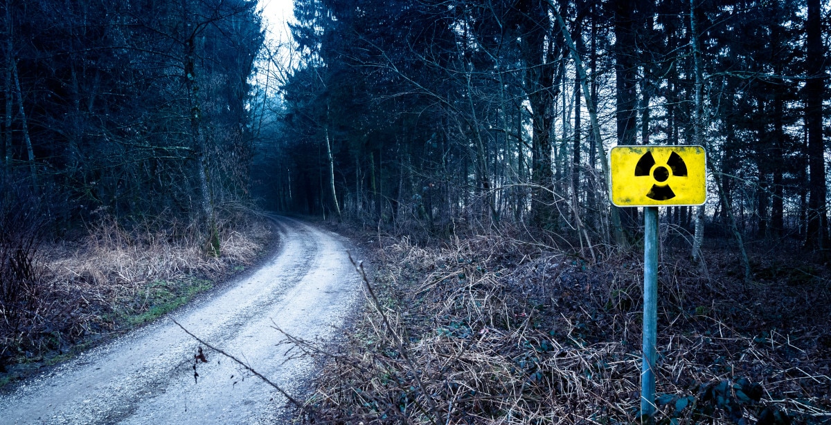 non-toxic vs toxin-free