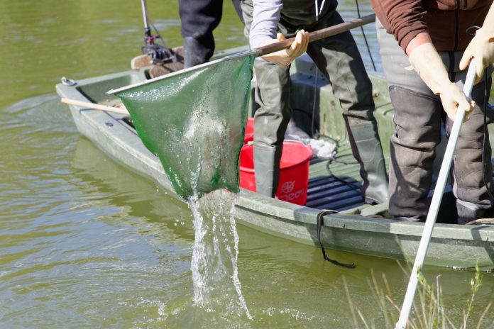 Someone standing on a fishing boat pulls a green net out of the water. Someone else holds a long pole in the water.