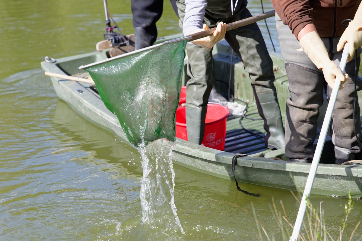 Someone standing on a fishing boat pulls a green net out of the water. Someone else holds a long pole in the water.