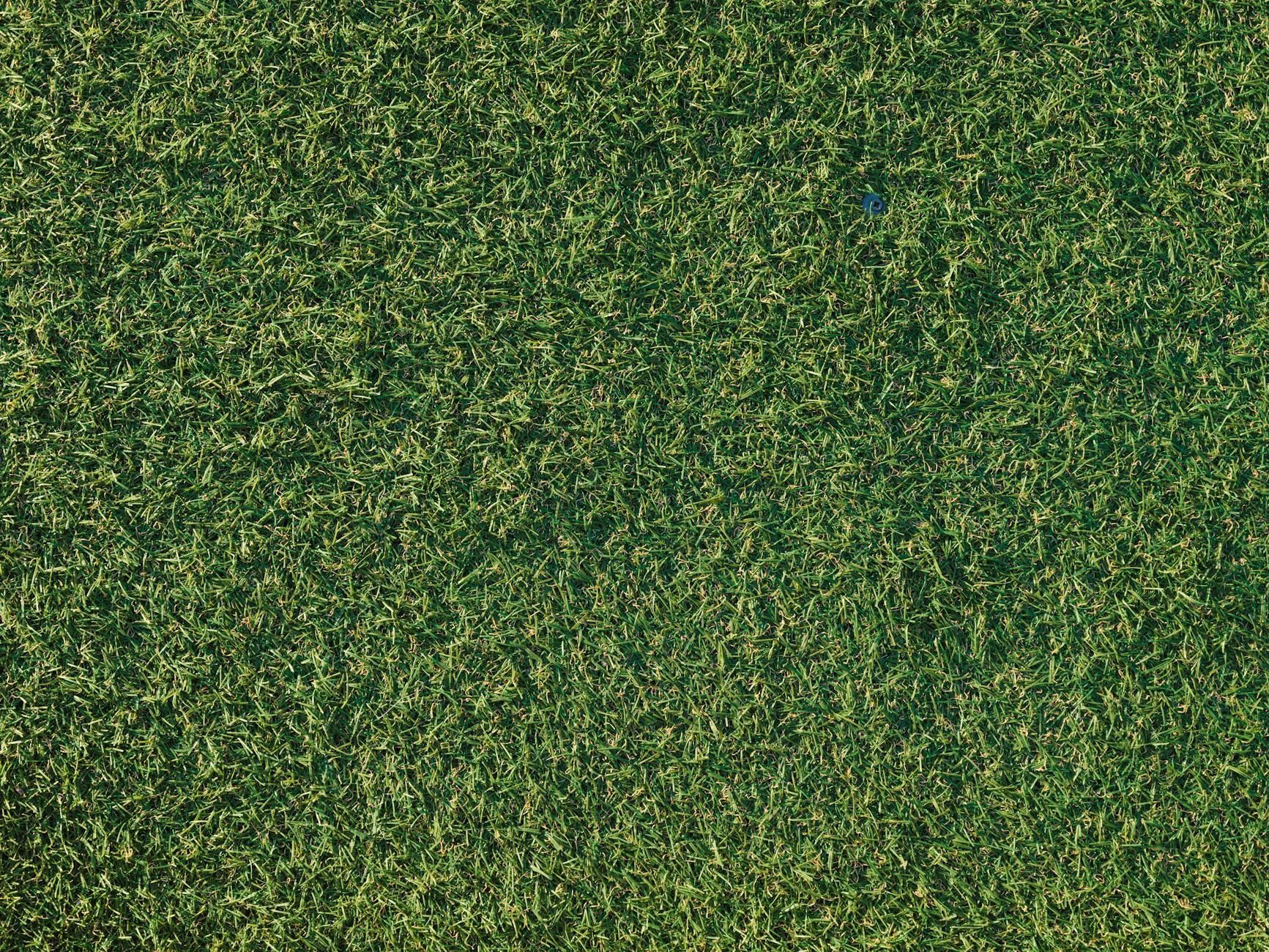 top view of synthetic green grass