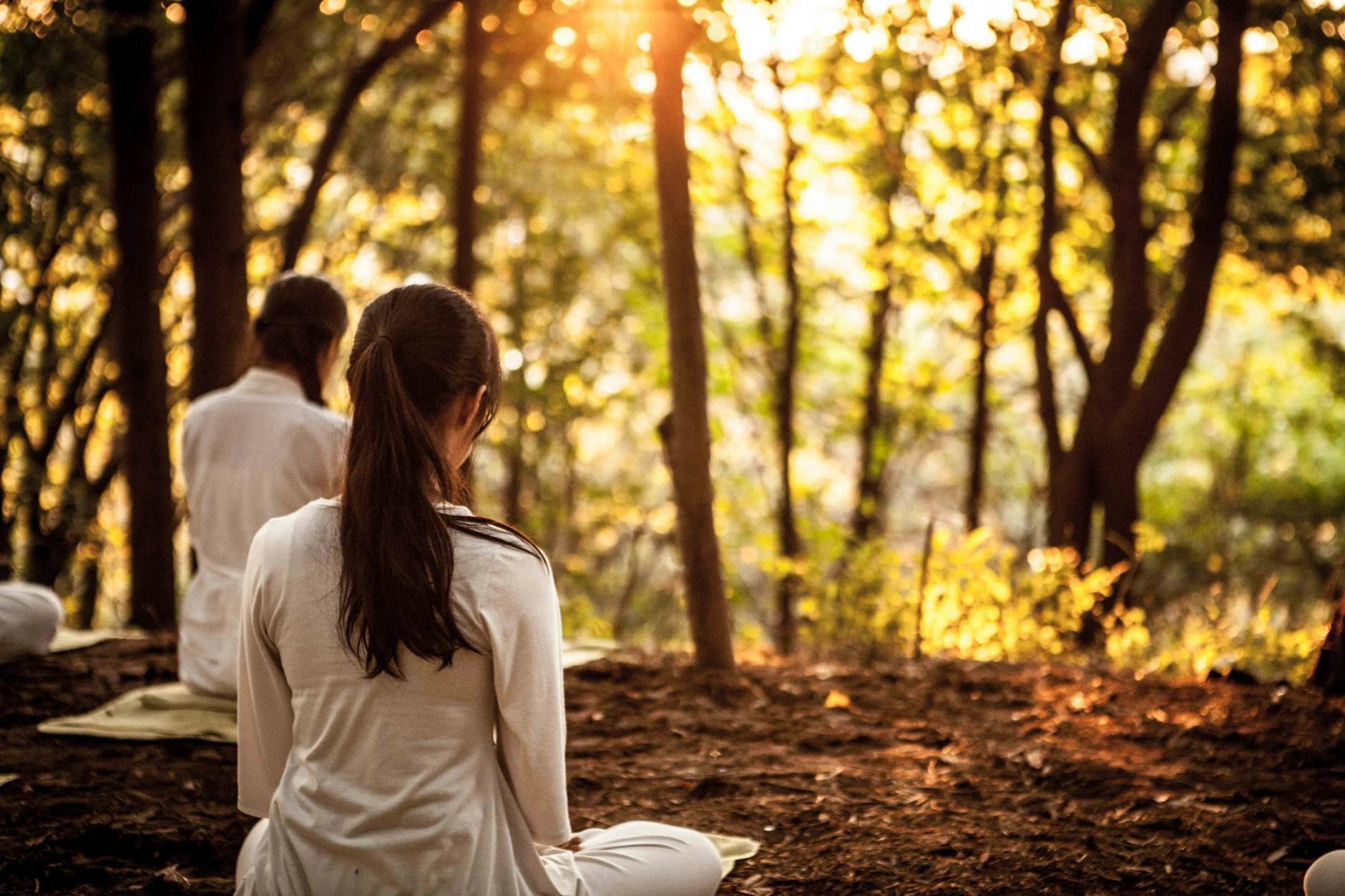 woman sitting and practicing yoga in forest at sunset