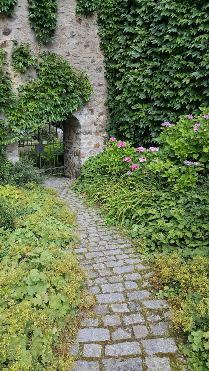 footpath paved with stone in a garden