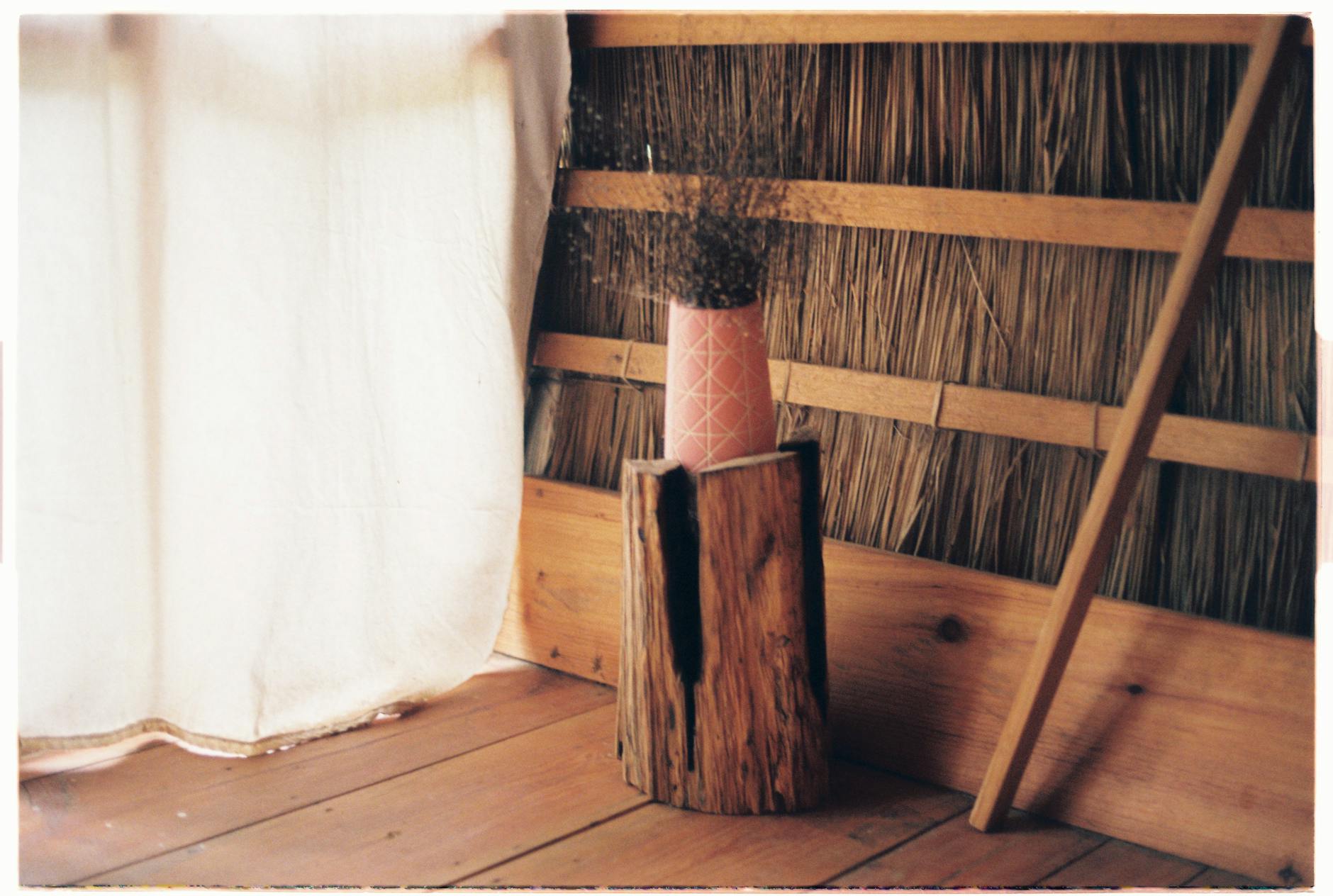 shallow focus photo of plant