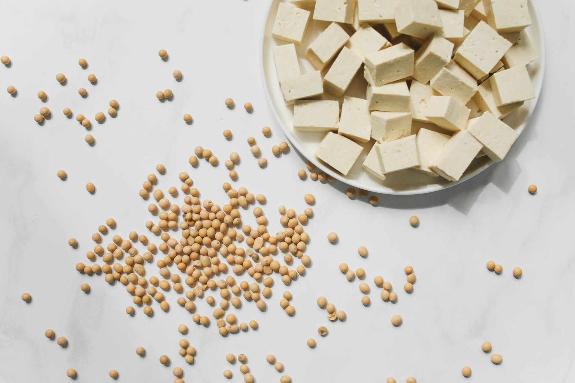 photo of tofu on white ceramic plate near soybeans