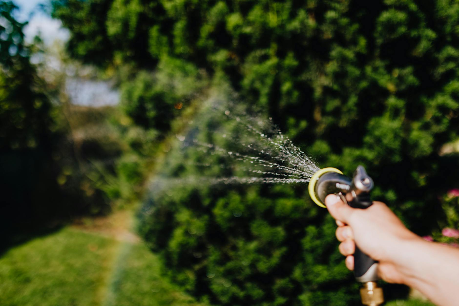 person holding a watering hose with sprinkler