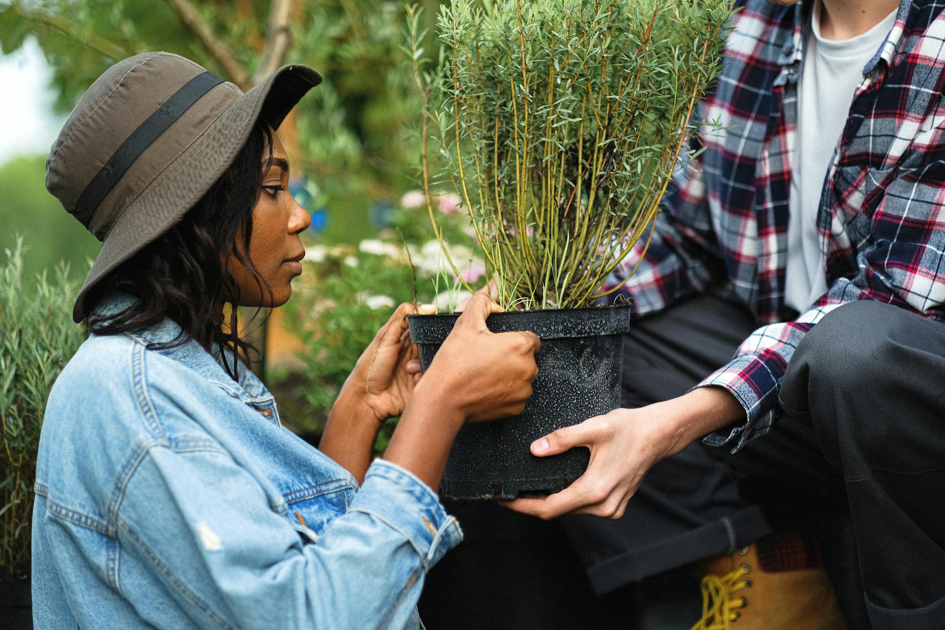 woman in blue denim jacket with gray hat handing over a potted plant to a person in plaid shirt