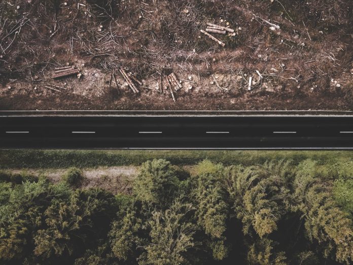 drone shot of an asphalt road in a forest