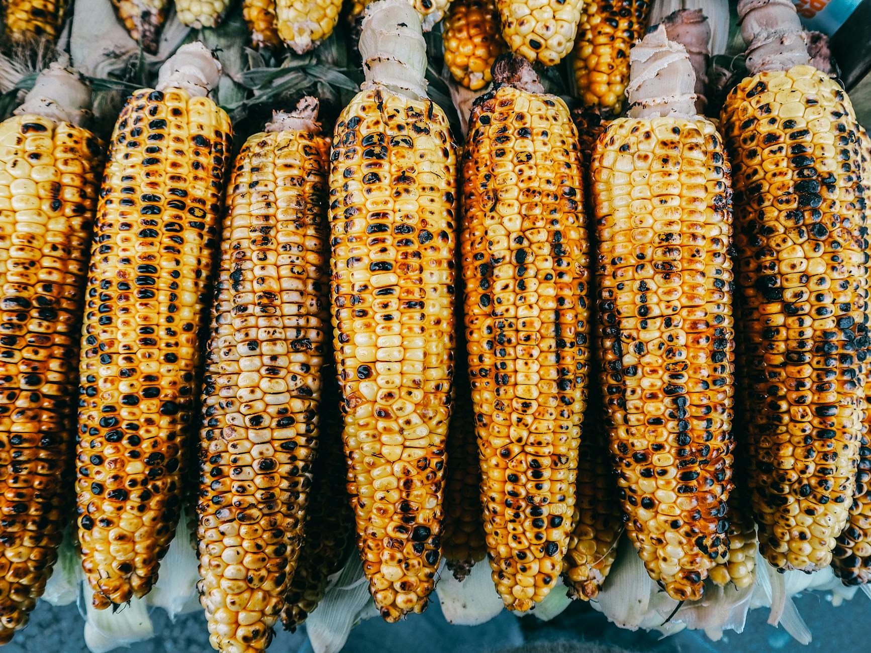delicious grilled corn in close up photography
