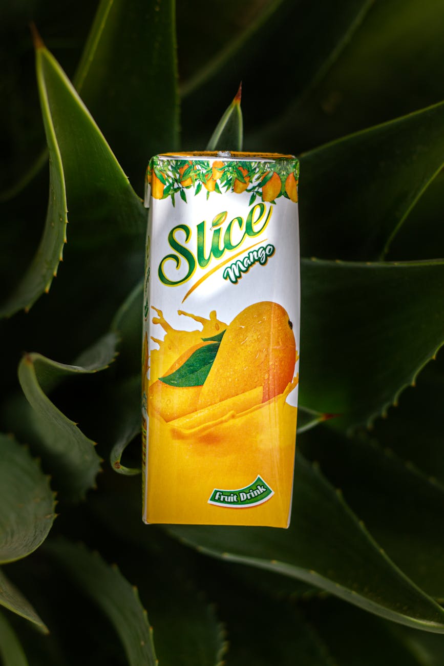 a juice box on a succulent plant