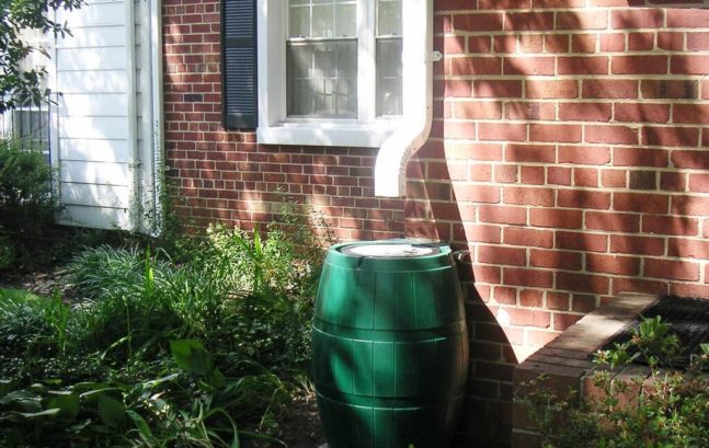 Rain Barrel