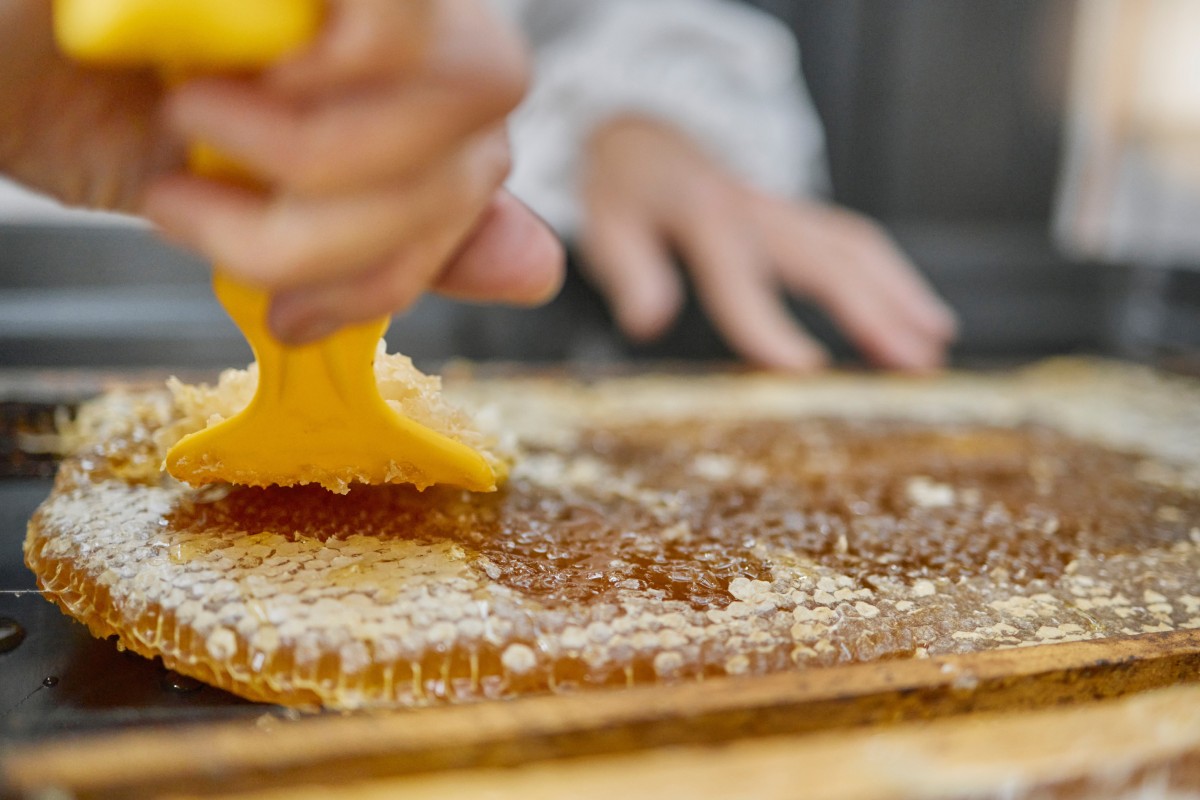 A close-up of a beekeeper using a yellow scraping tool to scrape the top of a honeycomb and harvest the honey.