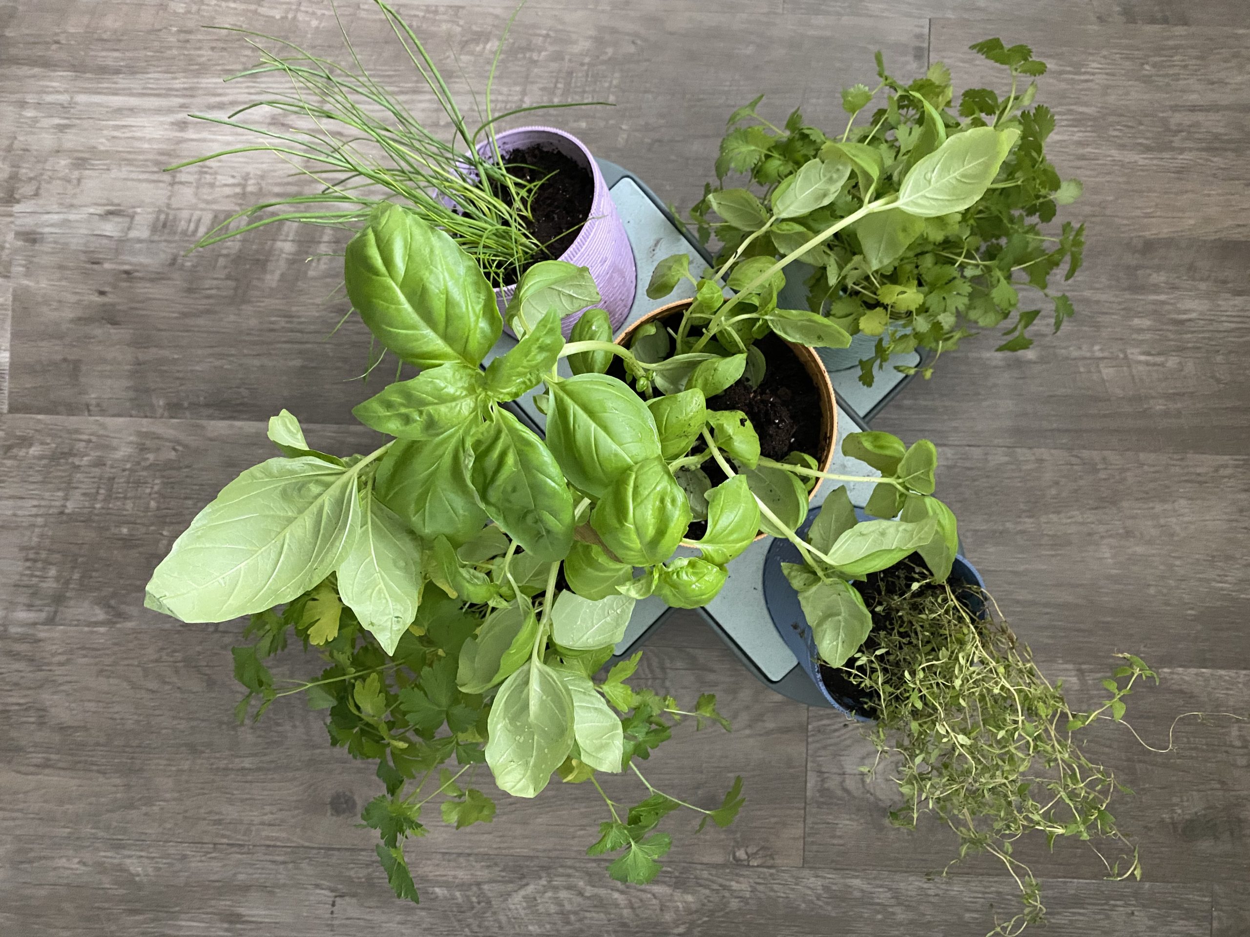 Watex Wheat Straw Plastic Stackable Garden Kit