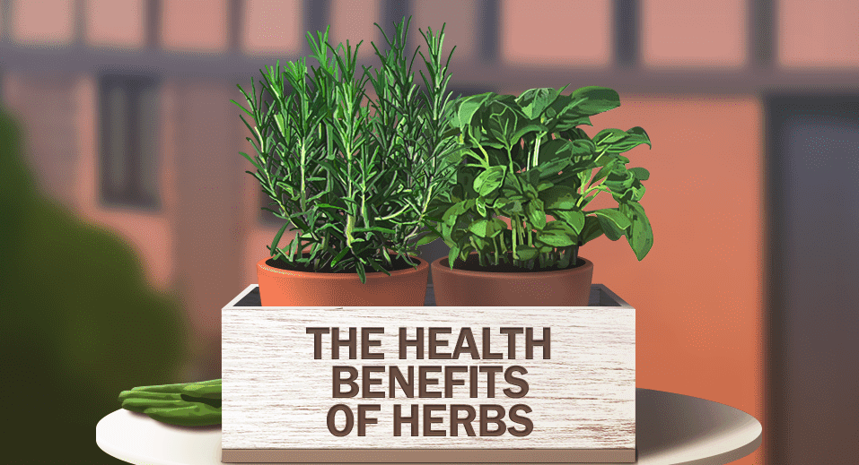 health benefits of herbs banner