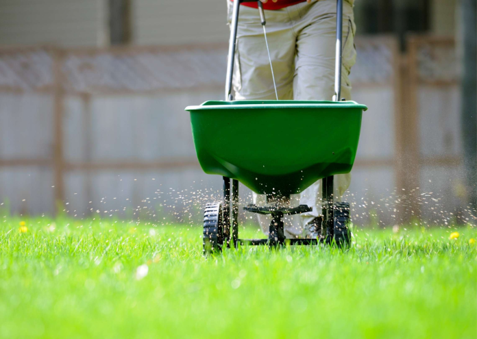 fertilizing lawn