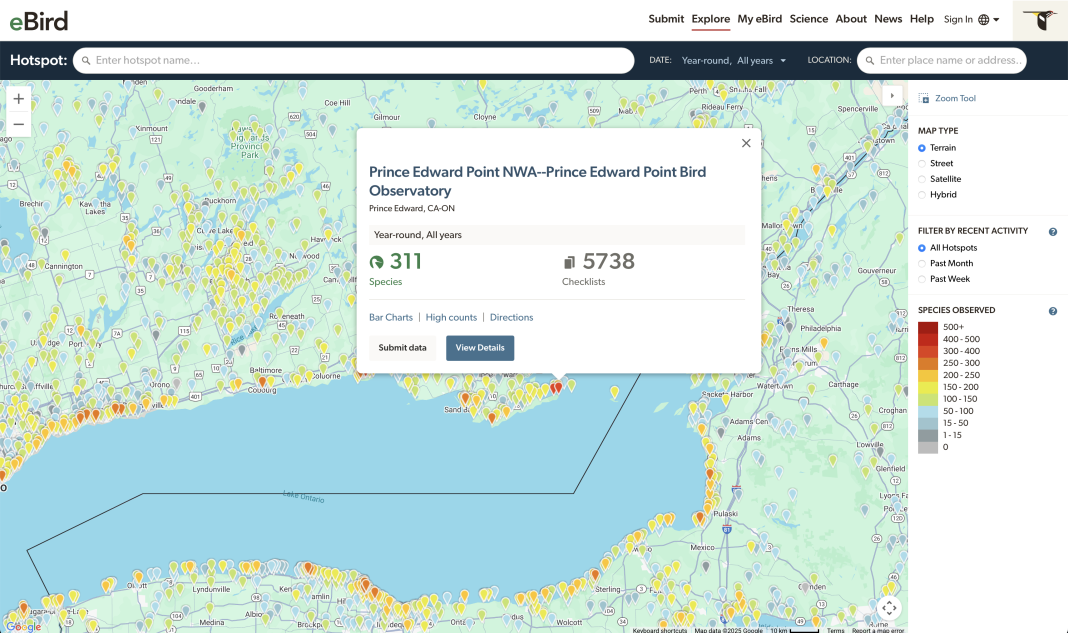 eBird tool for ecology research